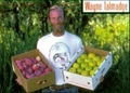White Buffalo Farm, Inc.